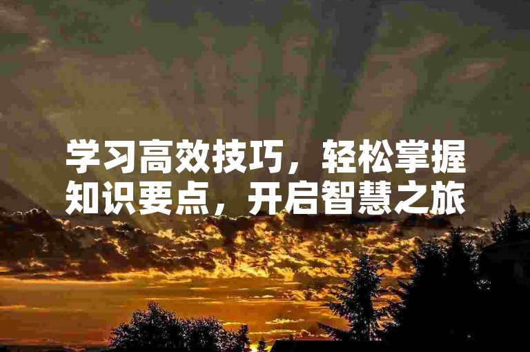 学习高效技巧，轻松掌握知识要点，开启智慧之旅。