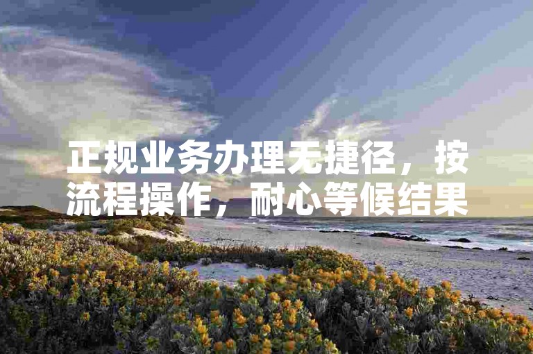 正规业务办理无捷径，按流程操作，耐心等候结果。