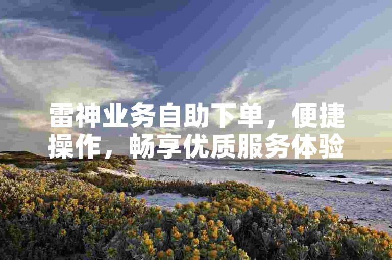 雷神业务自助下单，便捷操作，畅享优质服务体验。