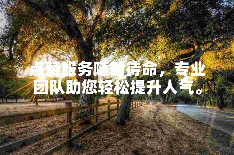 点赞服务随时待命，专业团队助您轻松提升人气。