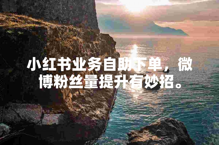 小红书业务自助下单，微博粉丝量提升有妙招。