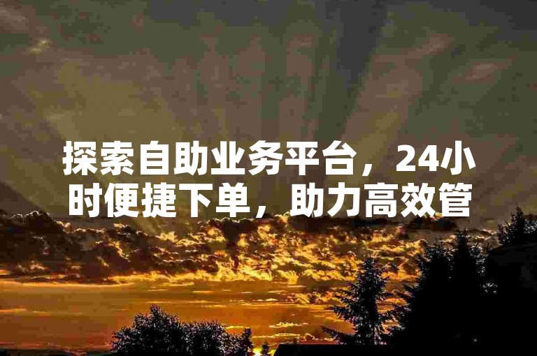探索自助业务平台，24小时便捷下单，助力高效管理。