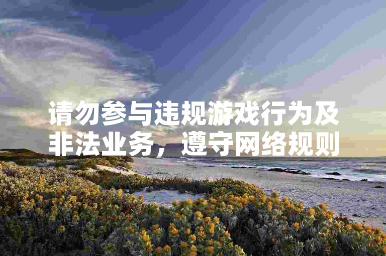 请勿参与违规游戏行为及非法业务，遵守网络规则。