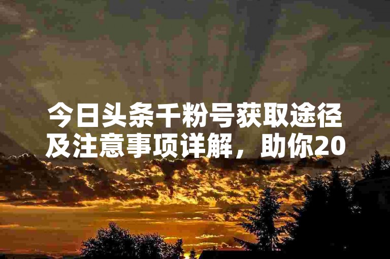 今日头条千粉号获取途径及注意事项详解，助你2025高效运营！