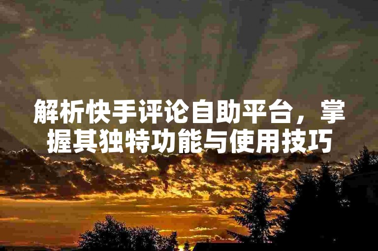 解析快手评论自助平台，掌握其独特功能与使用技巧