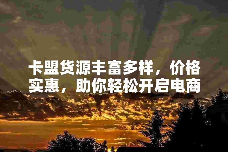 卡盟货源丰富多样，价格实惠，助你轻松开启电商之路。