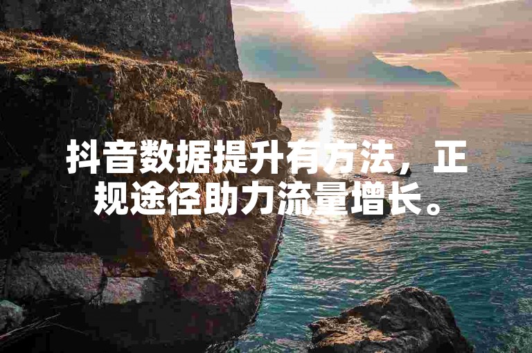 抖音数据提升有方法，正规途径助力流量增长。