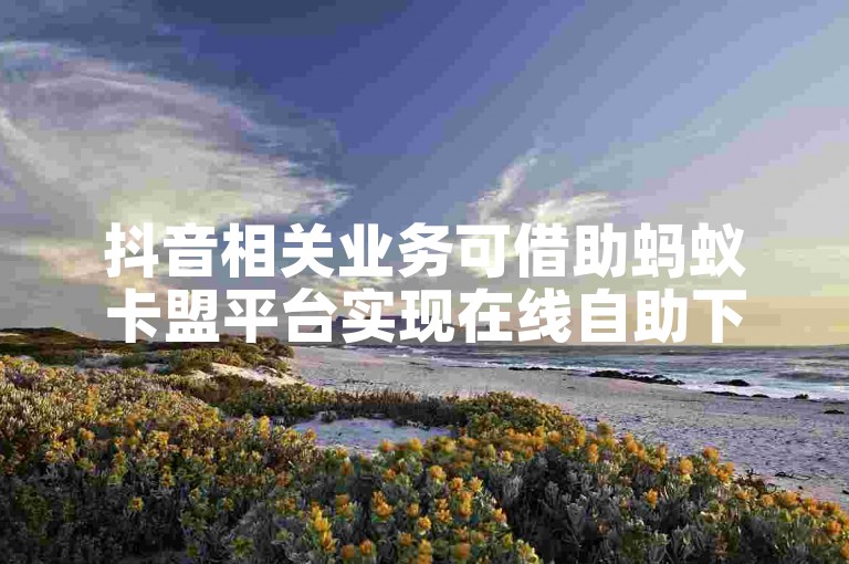抖音相关业务可借助蚂蚁卡盟平台实现在线自助下单操作。
