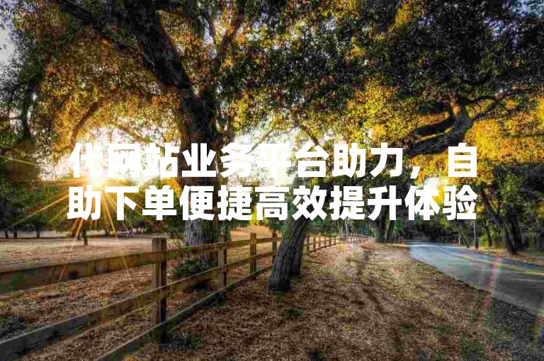 代网站业务平台助力，自助下单便捷高效提升体验。