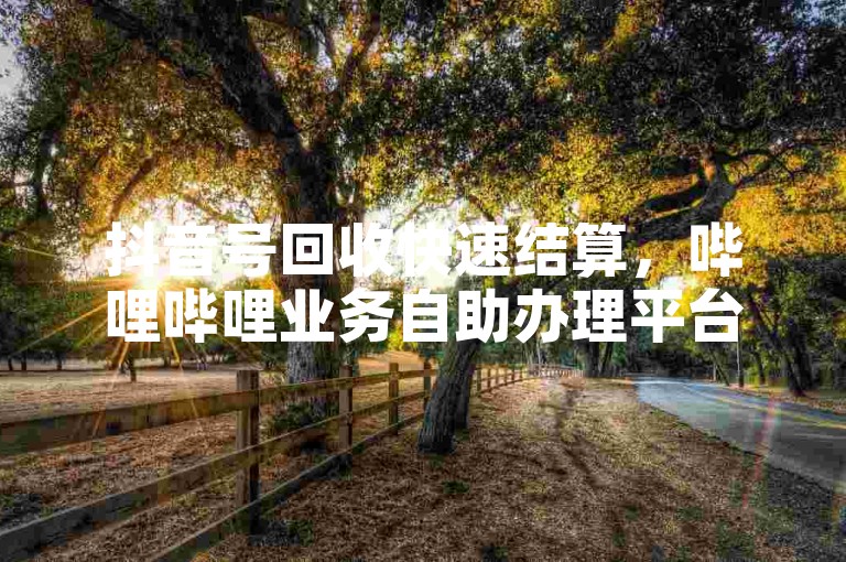 抖音号回收快速结算，哔哩哔哩业务自助办理平台。