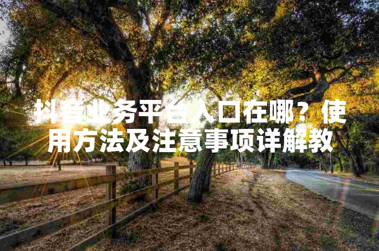 抖音业务平台入口在哪？使用方法及注意事项详解教程