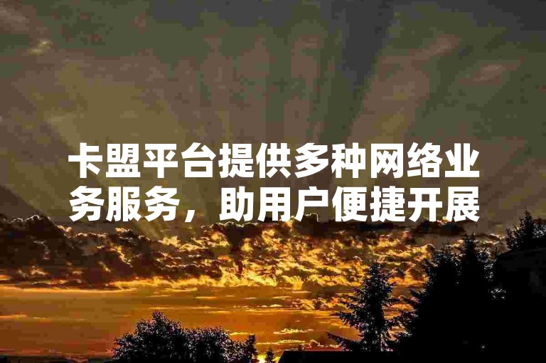 卡盟平台提供多种网络业务服务，助用户便捷开展线上活动。