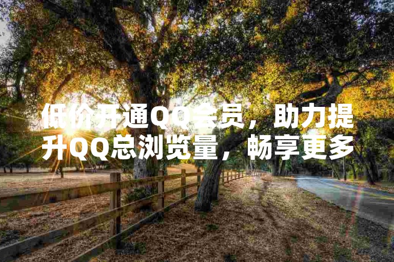 低价开通QQ会员，助力提升QQ总浏览量，畅享更多权益。