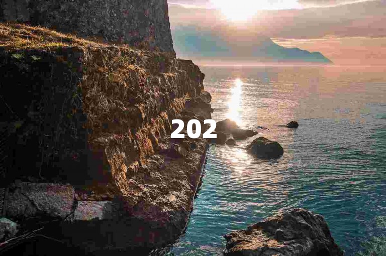 2025必学！抖音自助赞平台24小时快速发货揭秘教程