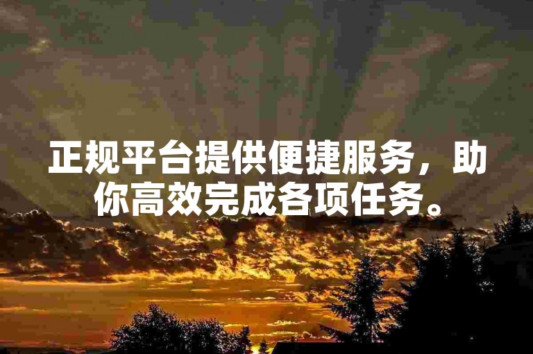 正规平台提供便捷服务，助你高效完成各项任务。