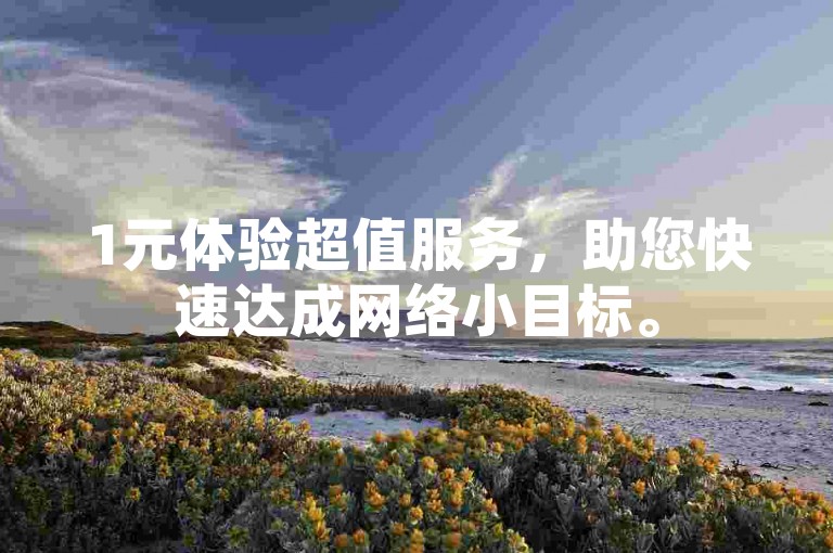1元体验超值服务，助您快速达成网络小目标。