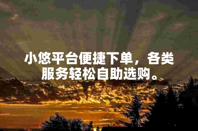 小悠平台便捷下单，各类服务轻松自助选购。