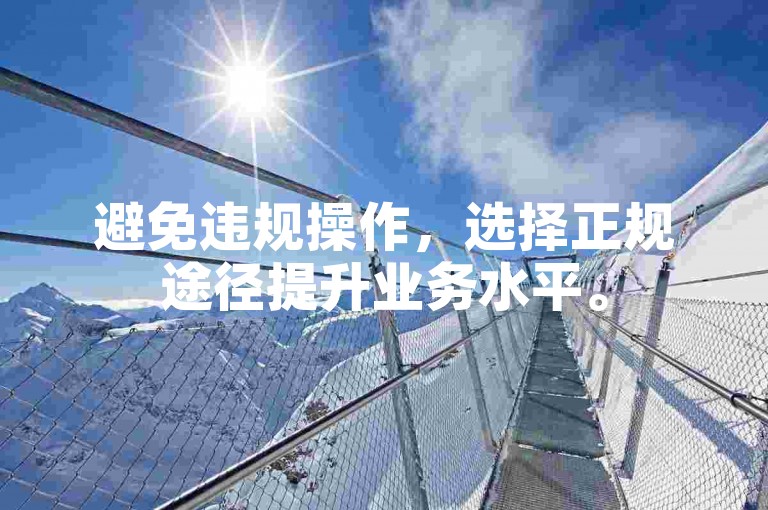 避免违规操作，选择正规途径提升业务水平。