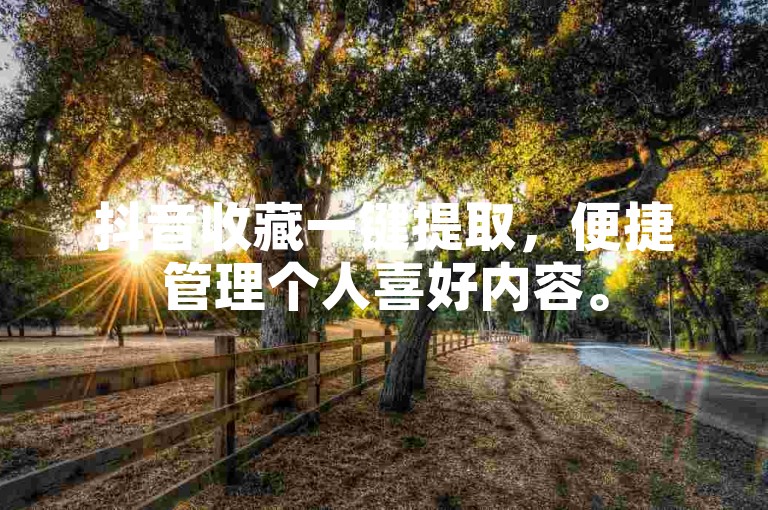 抖音收藏一键提取，便捷管理个人喜好内容。