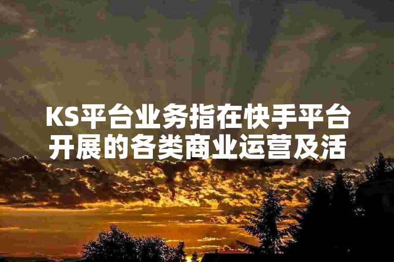 KS平台业务指在快手平台开展的各类商业运营及活动相关事务。