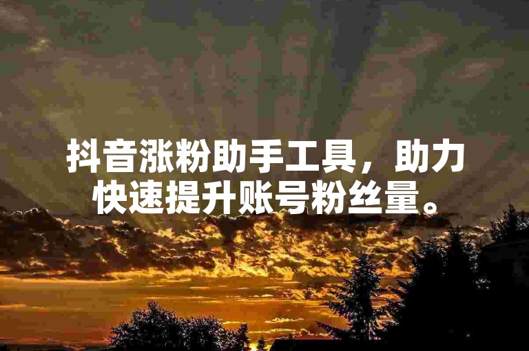 抖音涨粉助手工具，助力快速提升账号粉丝量。