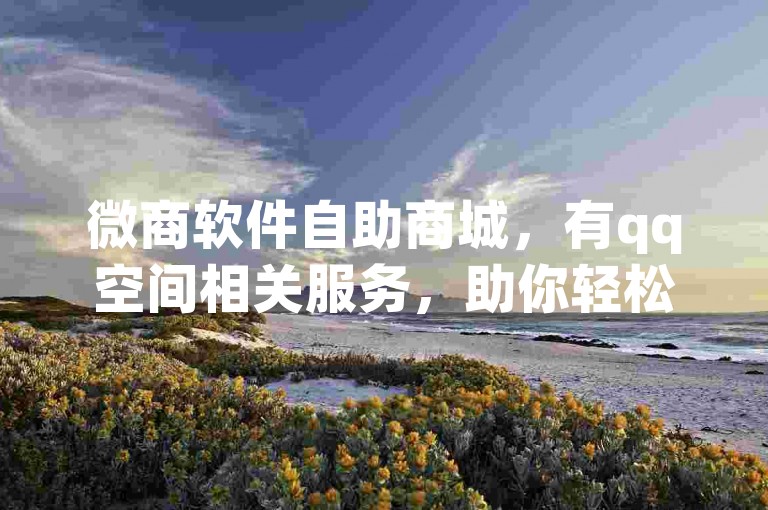 微商软件自助商城，有qq空间相关服务，助你轻松管理业务。