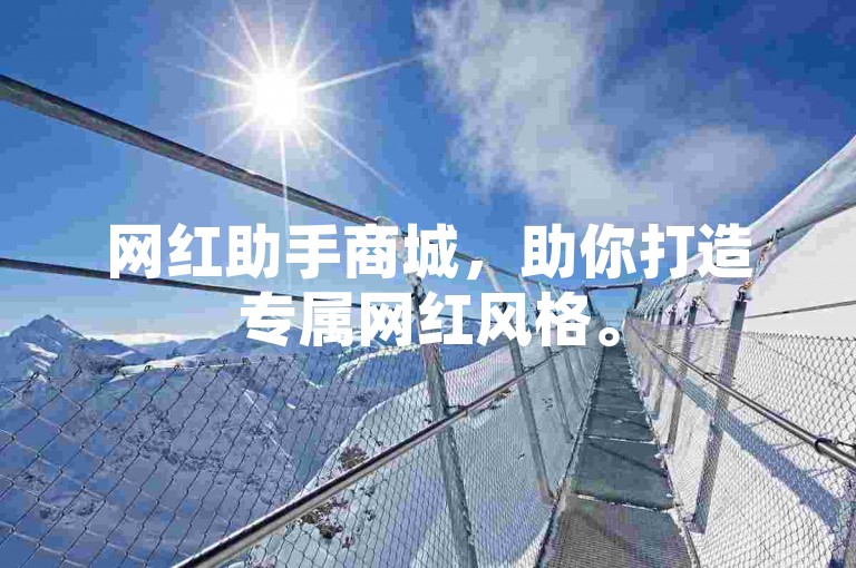 网红助手商城，助你打造专属网红风格。