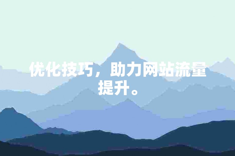 优化技巧，助力网站流量提升。