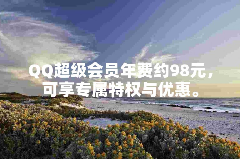 QQ超级会员年费约98元，可享专属特权与优惠。