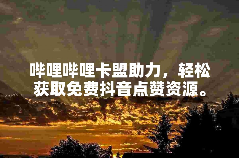 哔哩哔哩卡盟助力，轻松获取免费抖音点赞资源。