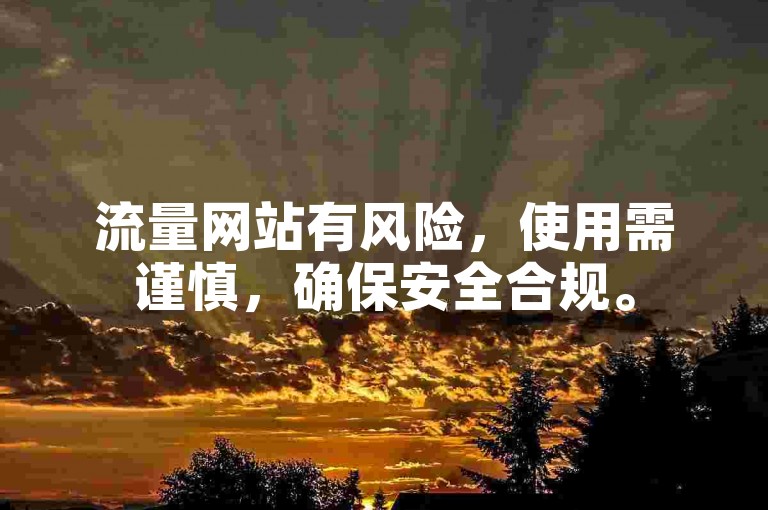 流量网站有风险，使用需谨慎，确保安全合规。
