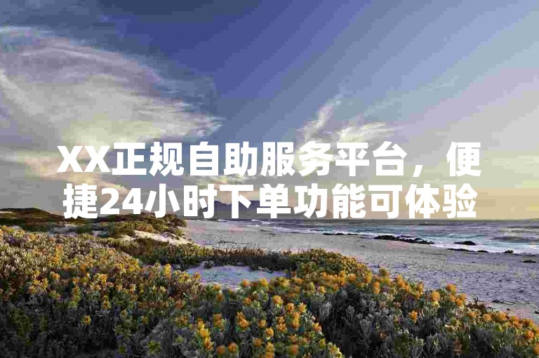 XX正规自助服务平台，便捷24小时下单功能可体验。