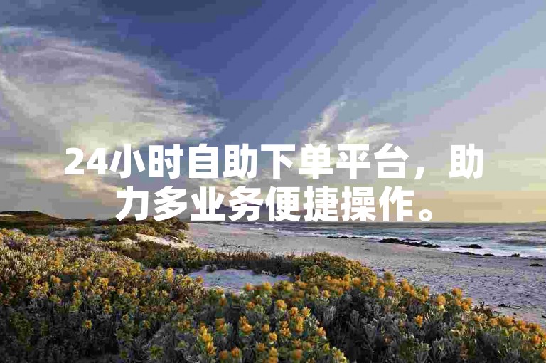 24小时自助下单平台，助力多业务便捷操作。
