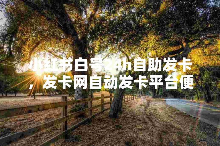 小红书白号24h自助发卡，发卡网自动发卡平台便捷高效。
