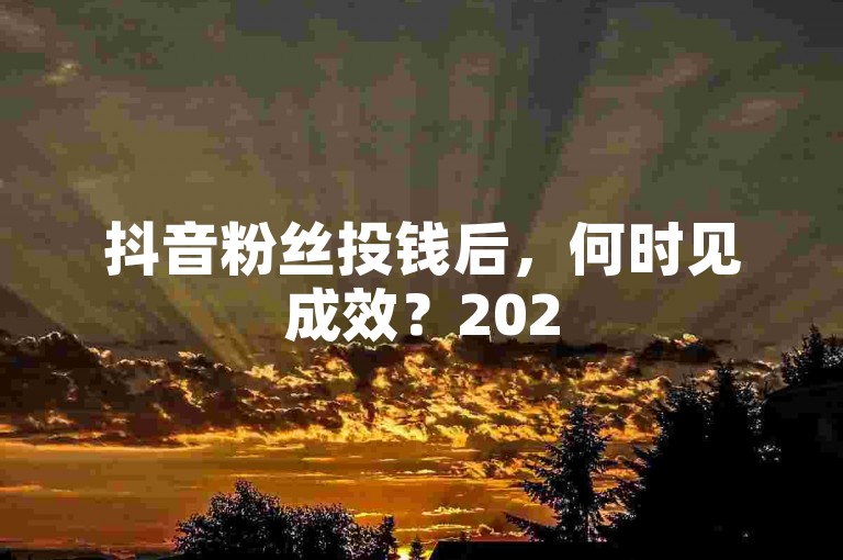 抖音粉丝投钱后，何时见成效？2025必学攻略揭秘！