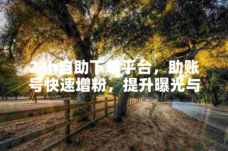 24h自助下单平台，助账号快速增粉，提升曝光与影响力。
