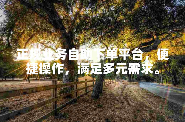 正规业务自助下单平台，便捷操作，满足多元需求。
