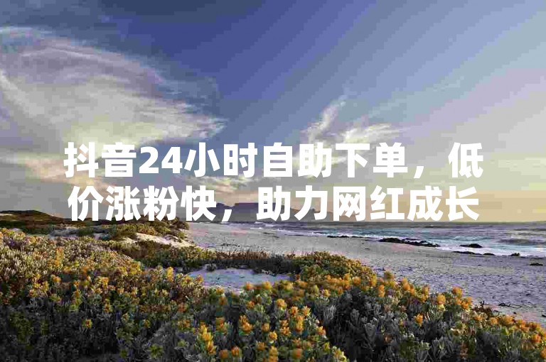 抖音24小时自助下单，低价涨粉快，助力网红成长。