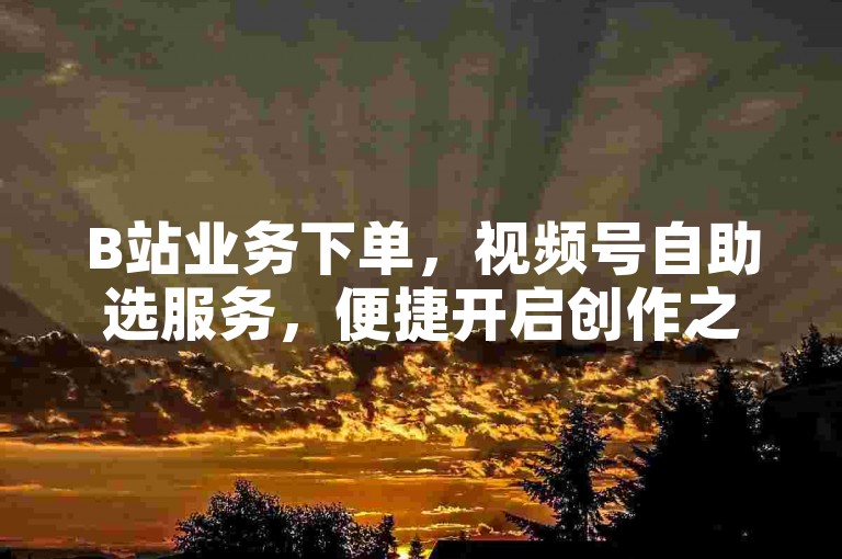 B站业务下单，视频号自助选服务，便捷开启创作之旅。