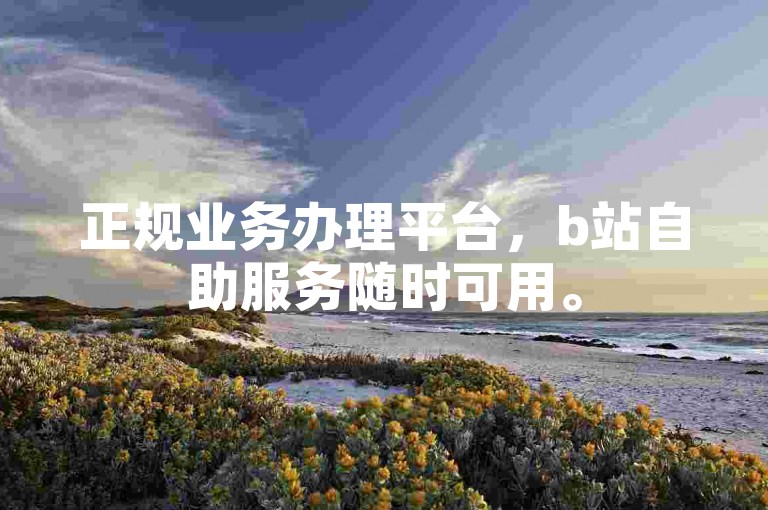 正规业务办理平台，b站自助服务随时可用。