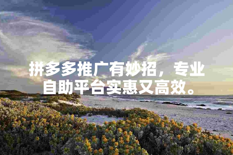 拼多多推广有妙招，专业自助平台实惠又高效。