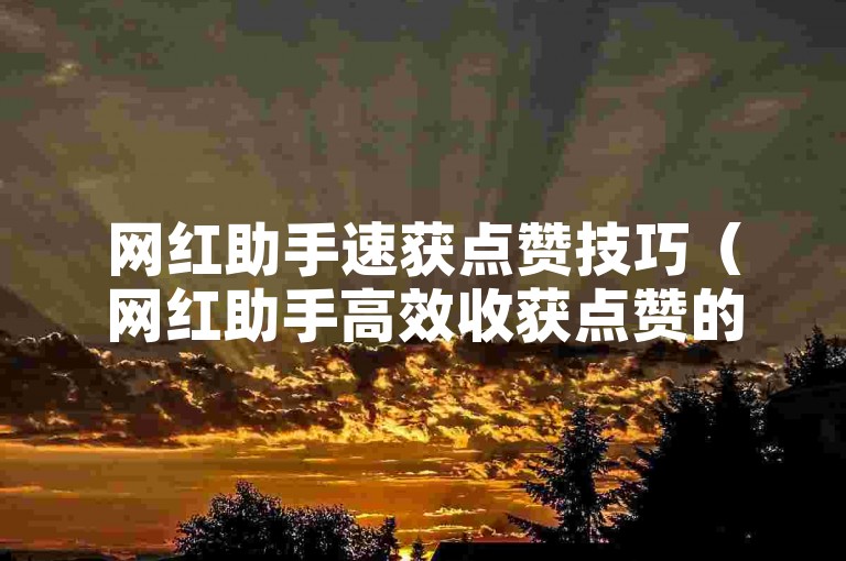 网红助手速获点赞技巧（网红助手高效收获点赞的妙法）