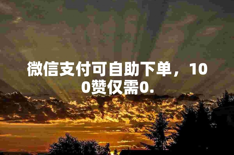 微信支付可自助下单，100赞仅需0.5元，便捷实惠。