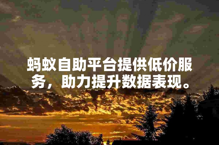 蚂蚁自助平台提供低价服务，助力提升数据表现。