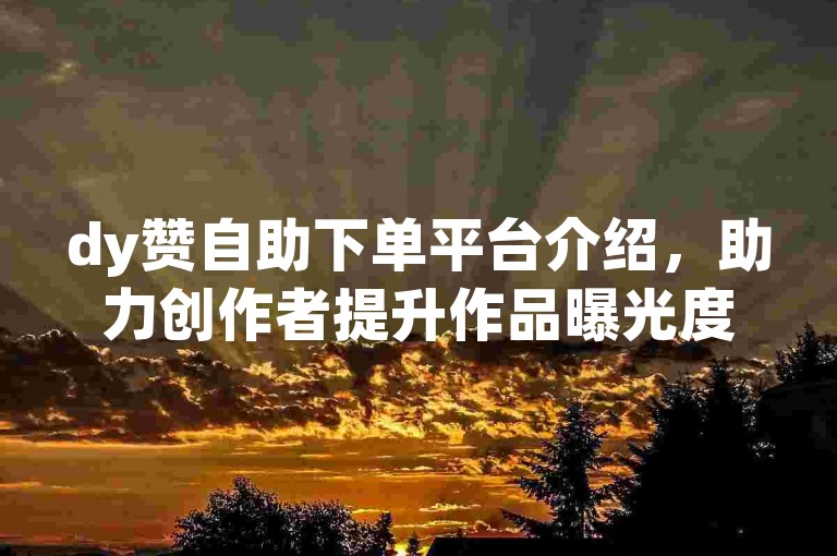 dy赞自助下单平台介绍，助力创作者提升作品曝光度。