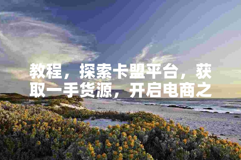 教程，探索卡盟平台，获取一手货源，开启电商之旅。