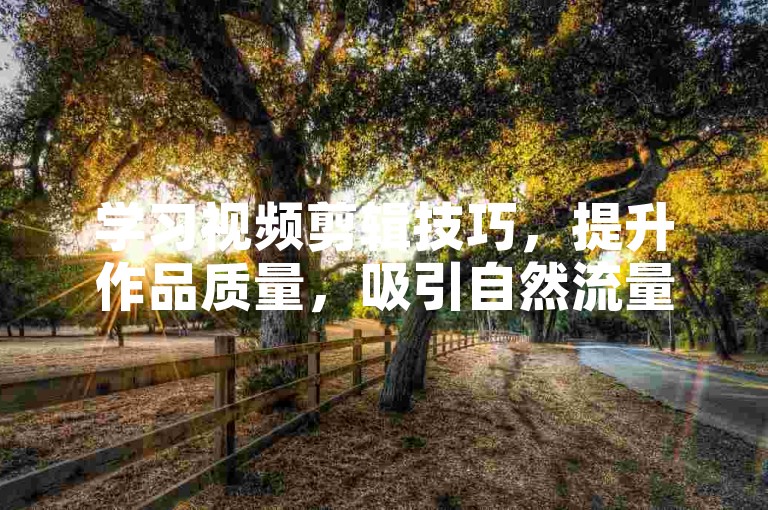 学习视频剪辑技巧，提升作品质量，吸引自然流量关注。