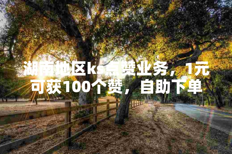 湖南地区ks点赞业务，1元可获100个赞，自助下单平台在线服务。