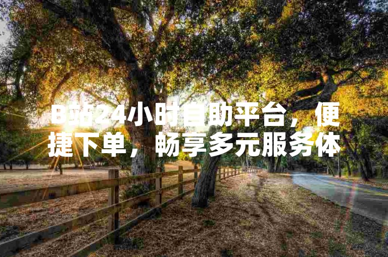 B站24小时自助平台，便捷下单，畅享多元服务体验。
