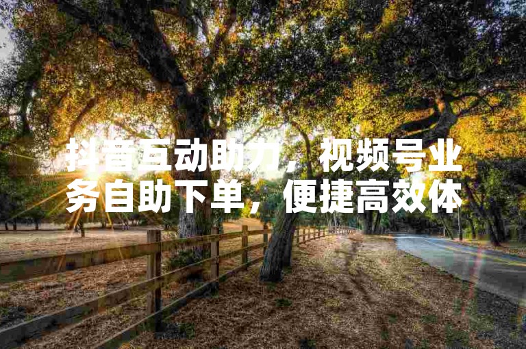 抖音互动助力，视频号业务自助下单，便捷高效体验佳。